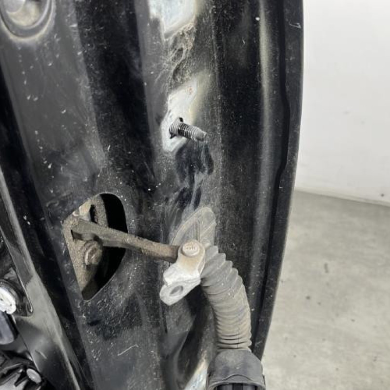 Porte avant gauche RENAULT SCENIC 3 Photo n°3