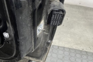 Porte avant gauche RENAULT SCENIC 3