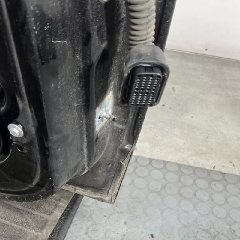 Porte avant gauche RENAULT SCENIC 3 Photo n°4