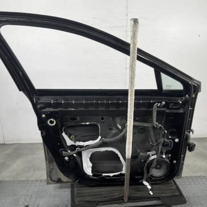 Porte avant gauche RENAULT SCENIC 3 Photo n°5