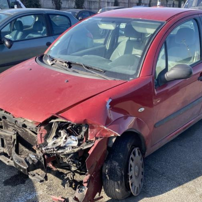 Porte avant gauche CITROEN C3 1 Photo n°8