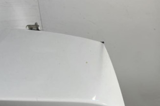 Malle/Hayon arriere CITROEN C3 3