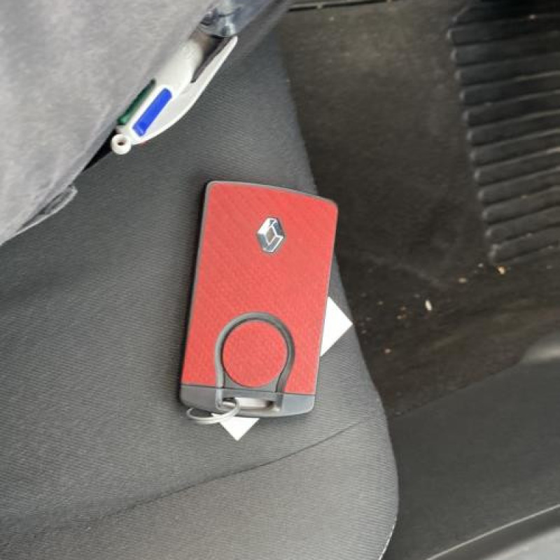 Porte arriere droit RENAULT MEGANE 3 Photo n°19