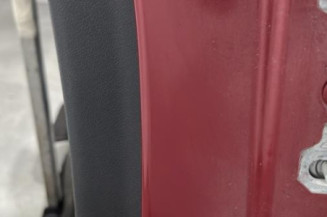 Porte arriere gauche RENAULT MEGANE 3