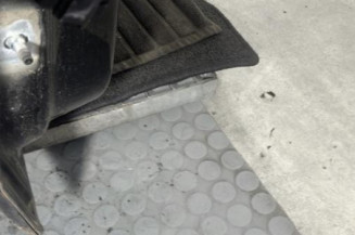 Porte avant droit RENAULT SCENIC 3