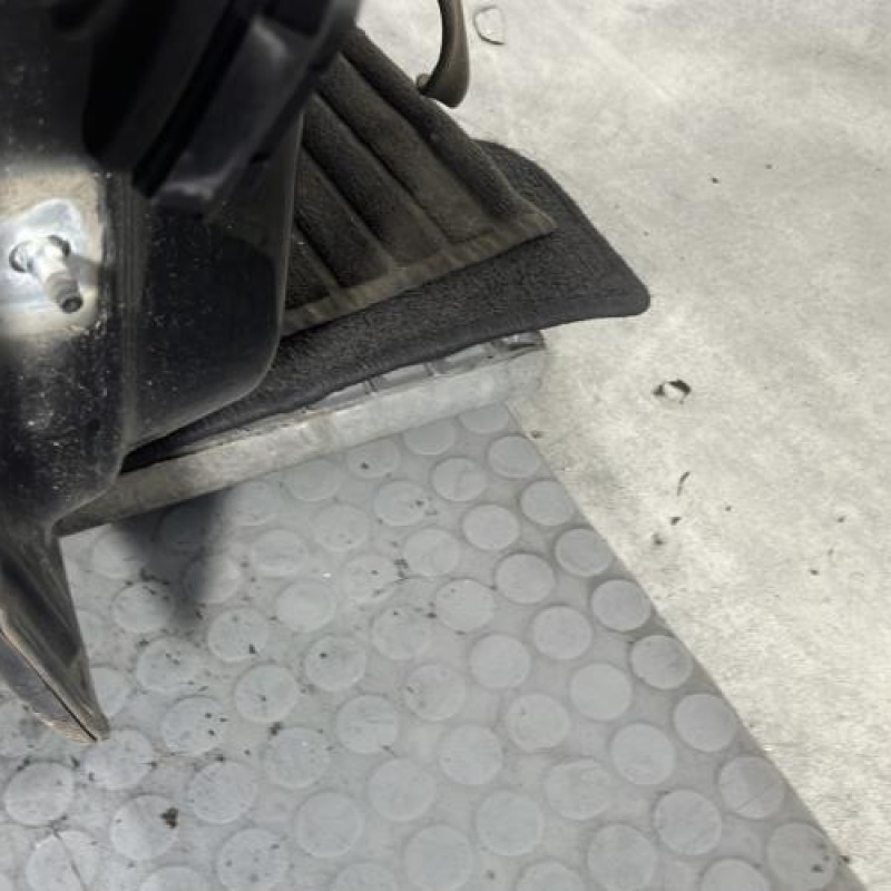Porte avant droit RENAULT SCENIC 3 Photo n°6