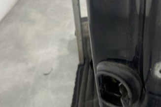 Porte avant gauche RENAULT SCENIC 3