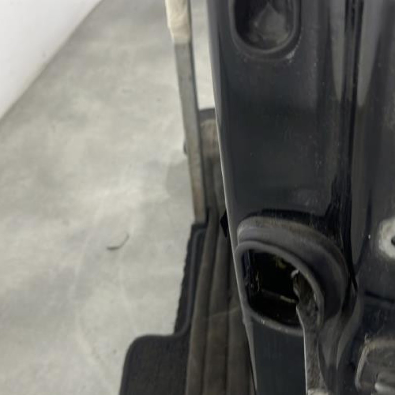 Porte avant gauche RENAULT SCENIC 3 Photo n°2