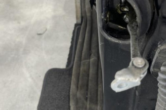 Porte avant gauche RENAULT SCENIC 3