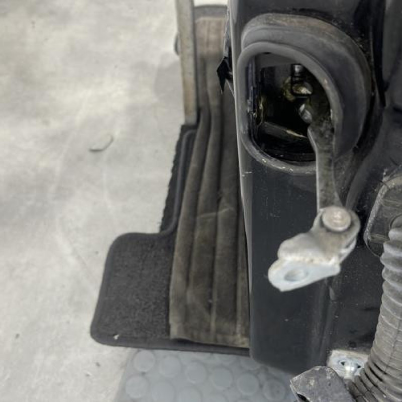 Porte avant gauche RENAULT SCENIC 3 Photo n°3