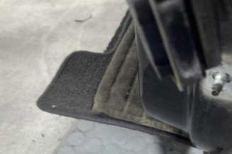 Porte avant gauche RENAULT SCENIC 3