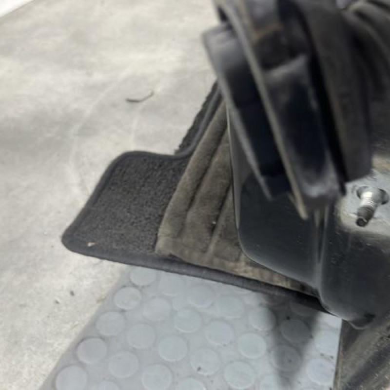Porte avant gauche RENAULT SCENIC 3 Photo n°4