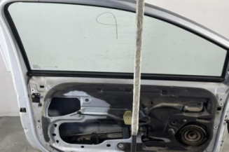Porte avant gauche RENAULT TWINGO 2