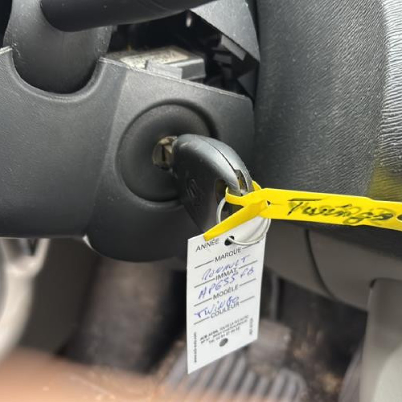 Porte avant gauche RENAULT TWINGO 2 Photo n°20