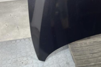 Capot VOLKSWAGEN FOX