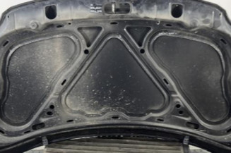 Capot VOLKSWAGEN FOX