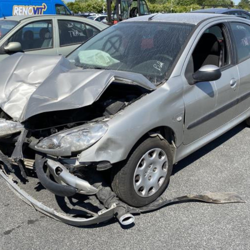 Feu arriere principal gauche (feux) PEUGEOT 206 Photo n°5