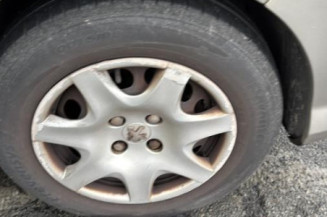 Vase de lave glace PEUGEOT 308 1