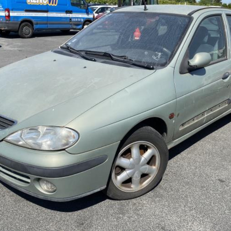 Malle/Hayon arriere RENAULT MEGANE 1 Photo n°14