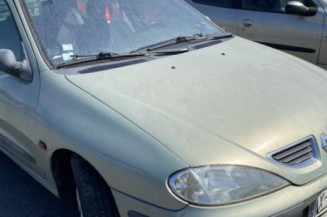 Malle/Hayon arriere RENAULT MEGANE 1