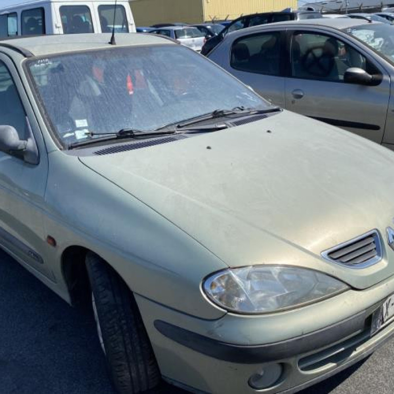 Malle/Hayon arriere RENAULT MEGANE 1 Photo n°15