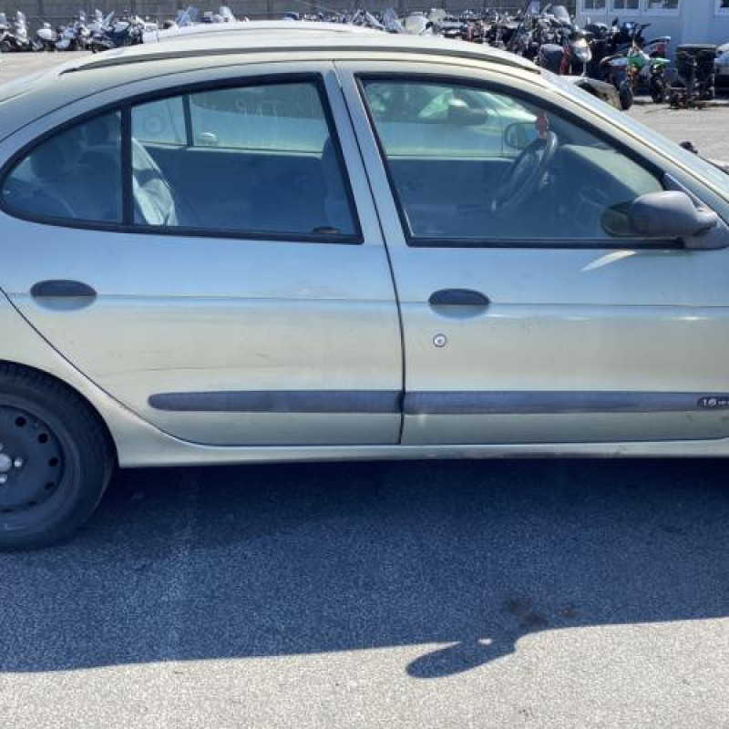 Malle/Hayon arriere RENAULT MEGANE 1 Photo n°19