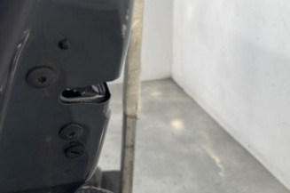 Porte arriere gauche CITROEN C4 2