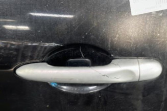 Porte arriere gauche RENAULT GRAND SCENIC 3