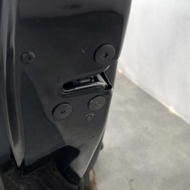 Porte arriere gauche RENAULT GRAND SCENIC 3 Photo n°3