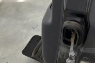 Porte arriere gauche RENAULT GRAND SCENIC 3