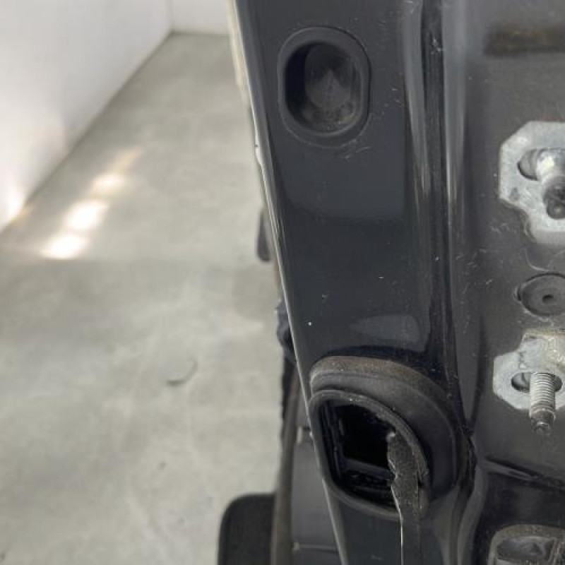 Porte avant gauche RENAULT GRAND SCENIC 3 Photo n°4