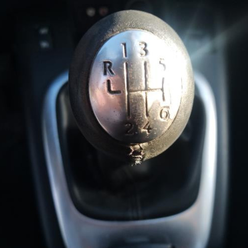 Porte avant gauche RENAULT GRAND SCENIC 3 Photo n°8