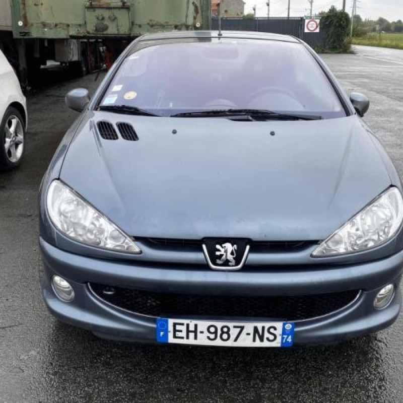 Jante PEUGEOT 206 Photo n°12