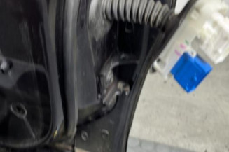 Porte avant gauche DS DS4 1