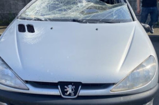 Aile avant gauche PEUGEOT 206