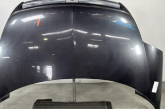 Capot CITROEN C8 Photo n°1