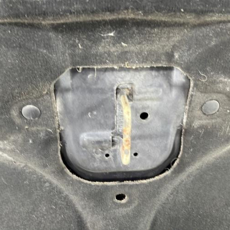 Capot CITROEN C8 Photo n°7