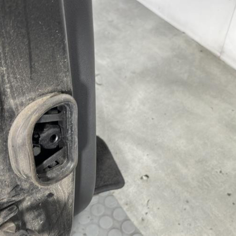 Porte arriere droit RENAULT MEGANE 3 Photo n°5