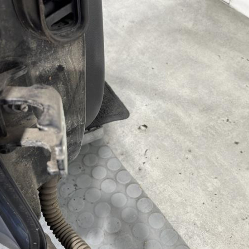 Porte arriere droit RENAULT MEGANE 3 Photo n°6