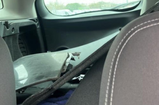 Porte arriere droit RENAULT MEGANE 3