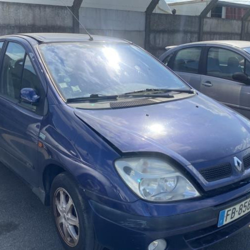 Porte avant droit RENAULT SCENIC 1 Photo n°8