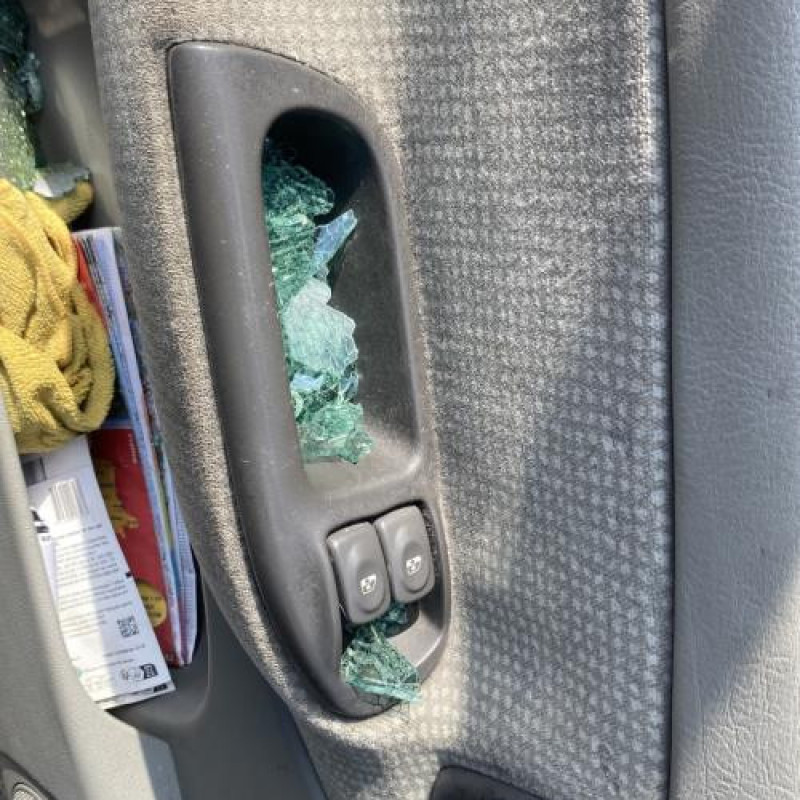 Porte avant droit RENAULT SCENIC 1 Photo n°16