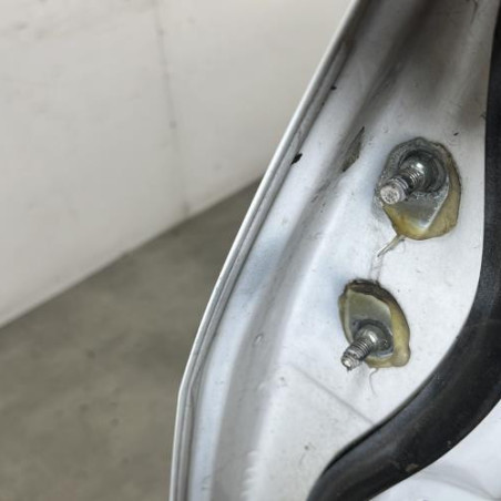 Porte avant droit NISSAN NV200