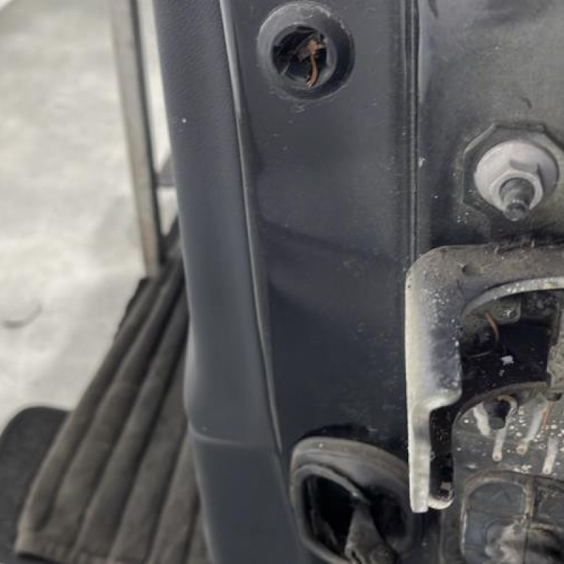 Porte avant gauche RENAULT MEGANE 3 Photo n°4
