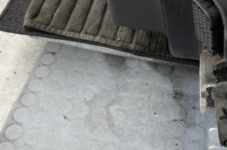 Porte avant gauche RENAULT MEGANE 3