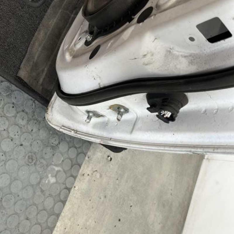 Porte avant gauche NISSAN NV200 Photo n°3