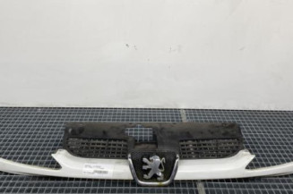 Calandre PEUGEOT 206