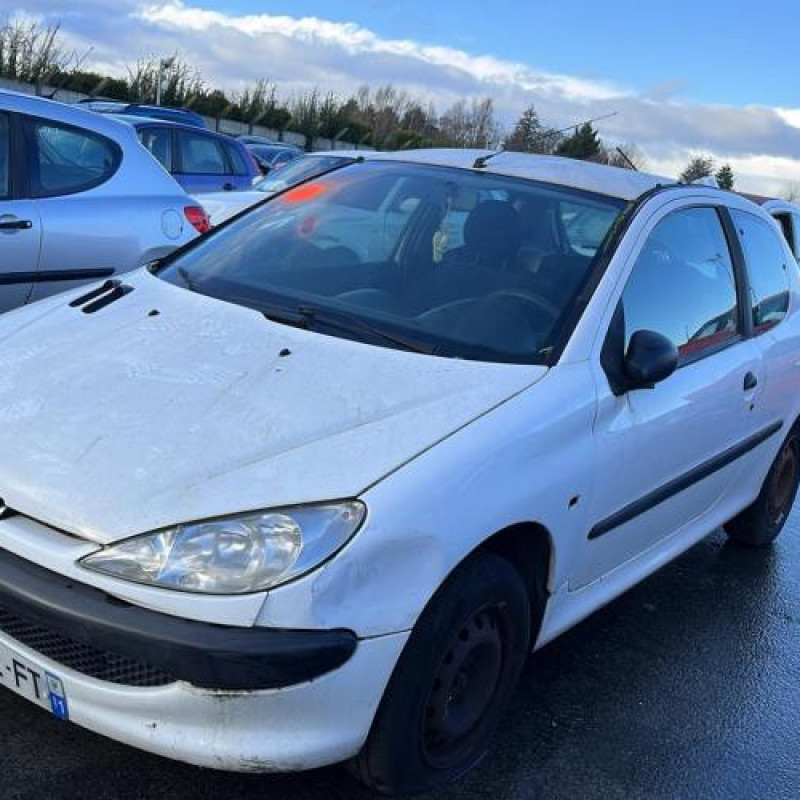 Calandre PEUGEOT 206 Photo n°4