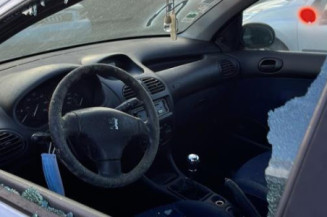 Calandre PEUGEOT 206