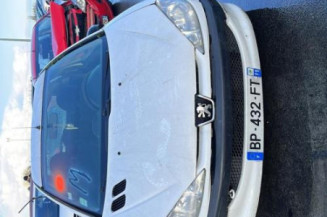 Calandre PEUGEOT 206